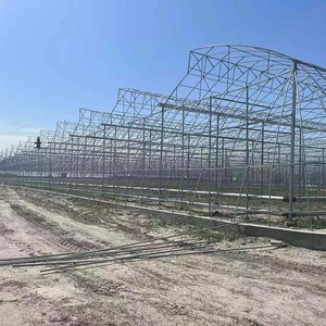 Kommerzielles Hydroponisches Gewächshaus mit Sainpoly PEP-Folie |   Erschwingliche Einlagige Struktur für Tomaten- und Landwirtschaft - Product Image 4