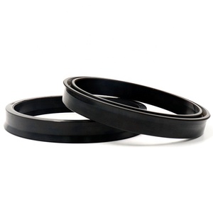 איכות גבוהה nbr fkm 70 שחור כחול ירוק basl tc כמו b1 <span class=keywords><strong>sl</strong></span> <span class=keywords><strong>sa</strong></span> כפול שפתיים שמן חותם למכירה - Product Image 1