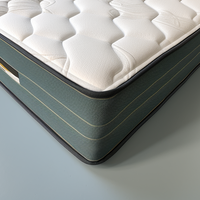 Matelas orthopédique de 15 pouces, coussin naturel, soulagement de la pression, literie rafraîchissante, matelas double/queen