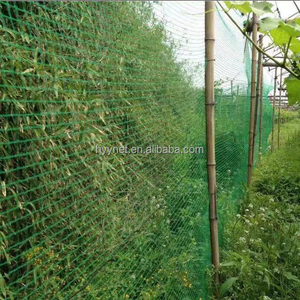 <span class=keywords><strong>Filet</strong></span> Offres Spéciales durable d'animaux d'oiseau de couleur verte de protection de plante de jardin de maille carrée de HDPE de Vierge Anti - Product Image 6