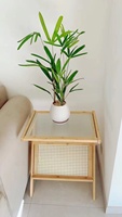 Depolama rafları komidin bambu kanepe yan başucu masa ile Combohome İşlevli cam Rattan uç tablosu