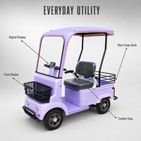 Voiturette de golf électrique personnalisée 800W 72V 2 places avec batterie au lithium, haute vitesse et longue autonomie pour les centres de villégiature