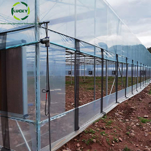 Tuyaux d'arc commerciaux Green House Tunnels multispan rapides Filet d'ombrage en acier galvanisé Cadres de <span class=keywords><strong>serre</strong></span> usagés à vendre - Product Image 5