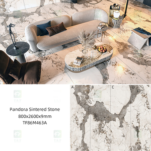 Losas de Piedra Sinterizada <span class=keywords><strong>Pandora</strong></span> de 1200*2400, Aspecto de Granito Patagonia, Mármol, para Mesas de Comedor y Encimeras - Product Image 4