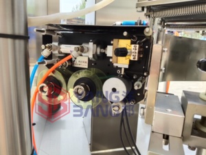 YB-210 automatique fermeture éclair Premade Doypack sac pochette nourriture pour animaux <span class=keywords><strong>chat</strong></span> <span class=keywords><strong>chien</strong></span> friandises remplissage Machine d'emballage - Product Image 6