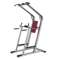Station multifonction de haute qualité pour dips, soulevés de jambe, barres parallèles et tractions – Appareil de musculation complète du corps pour le renforcement des muscles supérieurs et du tronc