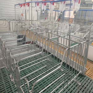 Hot mạ kẽm lợn trang trại thiết bị <span class=keywords><strong>farrowing</strong></span> <span class=keywords><strong>Crate</strong></span> thai sản gian hàng Lợn nái lồng - Product Image 5