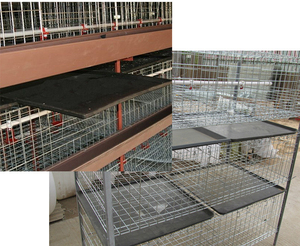 Plateau de fumier inférieur, planche anti-fuite de fumier, planche de fumier pour cage à poulets, plancher en plastique à lattes plates pour élevage de volailles, nettoyeur de fumier - Product Image 5