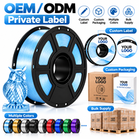 Filamen Printer 3D PETG Biru Kristal Es 1.75mm 1KG Transparan OEM ODM Label Pribadi Produsen Pasokan Grosir