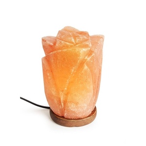 Eleve el Ambiente de Su Espacio con la Lámpara de Tulipán de Sal del Himalaya Tallada de Primera Calidad de Sian Enterprises - Product Image 1