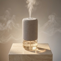 Diffuseur de parfum d'intérieur de luxe en gros, bouteille en verre écologique de 100 ml, décoration personnalisée pour chambre à coucher