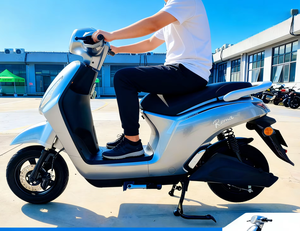 Moped Elettrico Saige <span class=keywords><strong>Roma</strong></span> 1000W 60V 20Ah con Batteria al Piombo, Omologazione EEC WVTA L1e-B, Velocità 45km/h - Moto Elettrica Economica - Product Image 1
