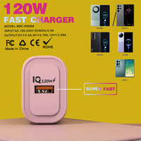 Chargeur Super Rapide de Haute Qualité 120W, Adaptateur Secteur USB Type-C PD et Chargeur Super Rapide avec Adaptateur et Boîte (UK, EU, US)