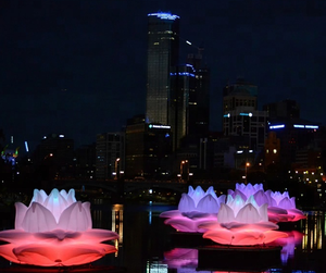 การออกแบบใหม่โฆษณารุ่นยักษ์ดอกไม้พองบัวสำหรับเหตุการณ์ในน้ำ - Product Image 2