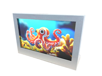 Pantalla OLED Transparente de 30 Pulgadas para Android, Pantalla Táctil Capacitiva, Máquina de Publicidad para Negocios de Autoservicio