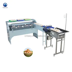 High Quality Egg Sorting Machine Egg Grading Classification Machine For Sale