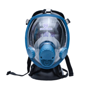 Mặt nạ phòng độc silicon tái sử dụng toàn mặt Haigu HG-800 chống mờ, nhiều cổng, sản xuất tại Trung Quốc, bán buôn tùy chỉnh - Product Image 1