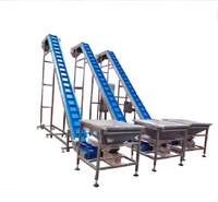 Máquina Transportadora de Banda Inclinada en Forma de Z de Grado Alimenticio para Frutas, Verduras, Granos y Alimentos Congelados con Tolva, Precio de Fábrica en China
