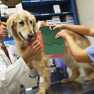 Vendeur chaud thérapie laser à la lumière infrarouge pour cheval de course soulagement de la douleur humaine arthritiques dispositif de physiothérapie vétérinaire - Product Image 5