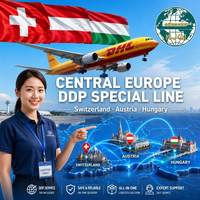 Meilleur agent d'expédition de colis DDP Chine-Suisse-Autriche-Hongrie, transitaire DDP vers l'Autriche