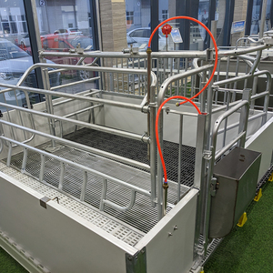 Thiết kế mới tùy chỉnh lợn lồng ấp <span class=keywords><strong>farrowing</strong></span> <span class=keywords><strong>Crate</strong></span> gieo thai sản gian hàng piggery nông nghiệp thiết bị - Product Image 6