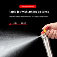 Extincteur portable en acier inoxydable argenté de 1,2 kg pour voiture, classe B, ignifuge, autodéfense, garantie 48 jours, mousse à base d'eau