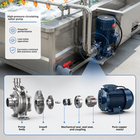 Commerciële luchtbelwasmachine voor groenten en vis, industriële fruitreiniger 2000kg/uur, ozonwasser