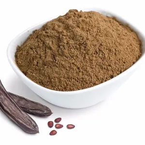 Best Price Sale High Quality Fruit Seeds Organic Carob Extract Powder