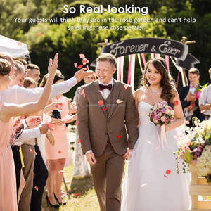 Pétales de rose en soie artificielle 250 pièces Pétales de fleurs artificielles Pétales de demoiselle d'honneur pour centre de table de mariage Rouge vin - Product Image 3