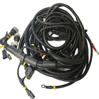 Faisceau de câblage de véhicule à prix réduit 1010797660 pour moteur Weichai Baudouin 6M33
