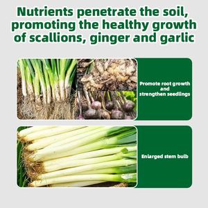 L'<span class=keywords><strong>engrais</strong></span> séché à l'ail et au gingembre organique à haut rendement augmente la production et les revenus fournissent des nutriments - Product Image 3