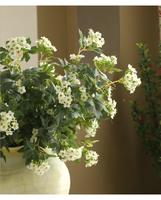 Fleurs artificielles pour la décoration de la maison, fleurs décoratives pour les fêtes de mariage