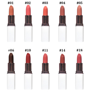 ลิปสติกเนื้อแมทท์แบบกำมะหยี่ 10 สี สั่งทำโลโก้ได้ ขายส่ง กันน้ำ ติดทนนาน - Product Image 1