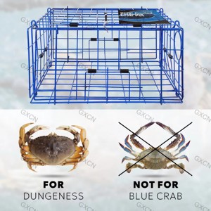 Piège à crabes de Dungeness - Fil d'acier revêtu de vinyle pliable avec 2 trous de fuite, compact pour <span class=keywords><strong>la</strong></span> pêche aux crabes et aux homards - Product Image 6