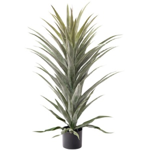 Vente en gros : Plante artificielle en soie de 1,8 m, Arbre du Dragon en <span class=keywords><strong>pot</strong></span>, Verdure réaliste <span class=keywords><strong>pour</strong></span> la décoration de la maison, des hôtels, des mariages, des remises de diplômes et du Nouvel An - Product Image 5
