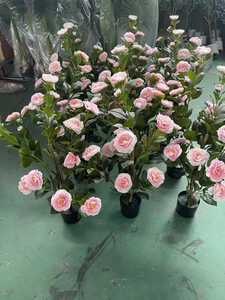 M735 Vente en gros de plantes artificielles en <span class=keywords><strong>pot</strong></span> de petite taille pour la décoration intérieure, plantes fruitières et bonsaïs - Product Image 6