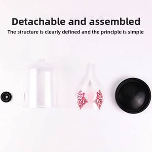 Simulatore di Respirazione Polmonare Modello S-56894, Attrezzatura per lo Scambio Gasogeno Polmonare per Scuole Medie - Product Image 3