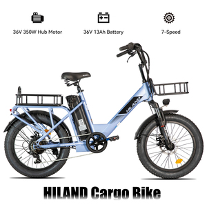 Vélo électrique JOYKIE HILAND 20 pouces, moteur arrière 250 W, cadre en alliage d'aluminium, 7 vitesses, pneus larges, vélo <span class=keywords><strong>cargo</strong></span> électrique personnalisable - Product Image 1