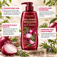 Shampo dan Kondisioner Rambut Organik Vegan Bebas Sulfat dengan Ekstrak Bawang Merah dan Rosemary untuk Wanita (Private Label)