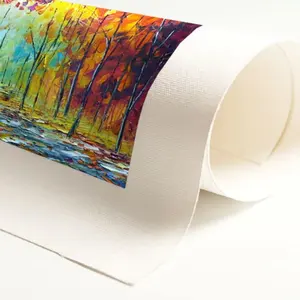 Top Quality Eco-solvent Matte Poly Canvas Y8 inkjet Fabric printing media Canvas blank rolls