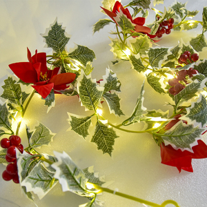 Outdoor Courtyard Decoration IP65 Waterproof LED