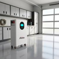 Batterie LiFePO4 16 kWh 51,2 V pour protection contre les pannes de courant, stockage d'énergie domestique mural, batterie lithium pour sauvegarde solaire à domicile