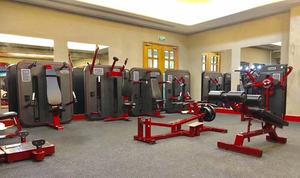 Placa de extensión inversa Hyper Back, máquinas de gimnasio cargadas, silla romana, Glute <span class=keywords><strong>JLC</strong></span>, equipo de Fitness, jamón, Glute, Banco de jamón, desarrollador - Product Image 5