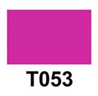 T053