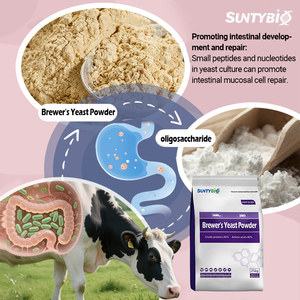 กรดอะมิโนเกรดฟีดยีสต์ผลิตในมณฑลเหอเป่ยประเทศจีนสำหรับอาหารสัตว์ - Product Image 6