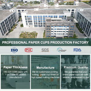 Ly giấy cà phê nóng hai lớp dùng một lần có in logo tùy chỉnh, dung tích 8oz, 10oz, 12oz, 16oz, kèm nắp - Product Image 6