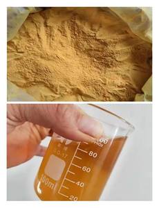 Bai Dahurica özü doğal bitki özü Bai Zhi kökleri gıda kullanımı için - Product Image 5