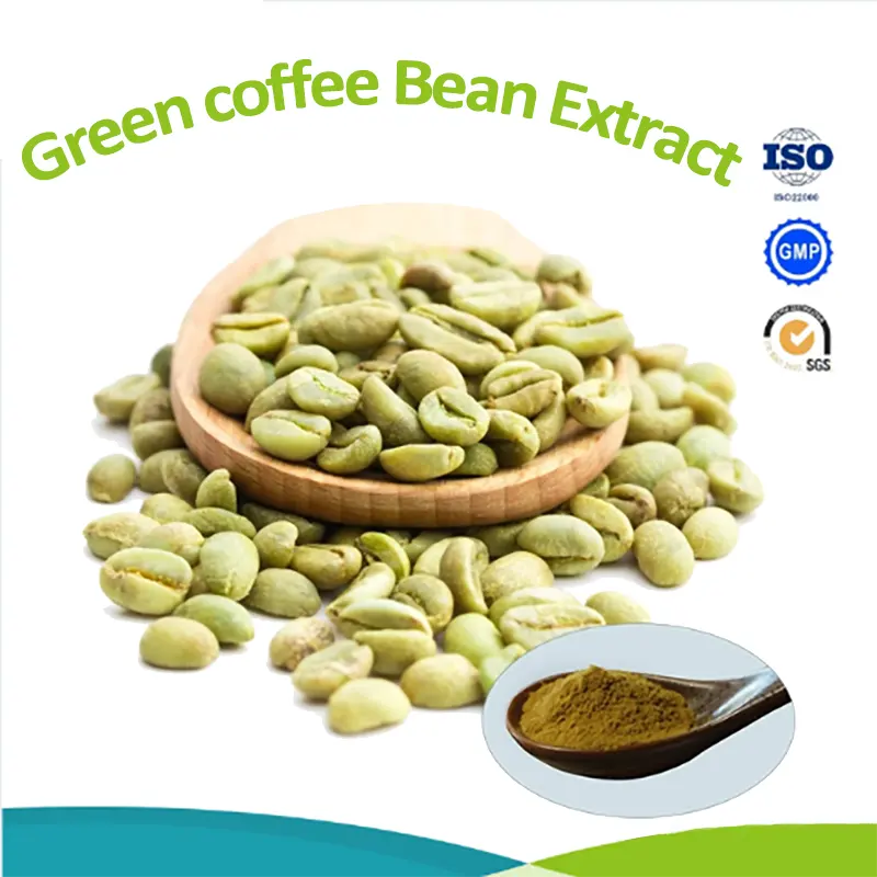 Natural Green Coffee Bean Extract 10% Chlorogenic Acid Powder