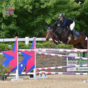New Design Competition Horse Products Jumping Fence <strong>Show</strong> Jumping <strong>Jumps</strong> - Product Image 5