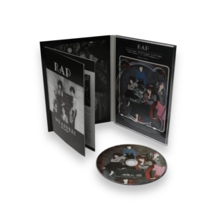 Best Quality Punk Rock Anthology DVD - Insert Booklet Digipak with Retro Punk Art Print - Product Image 1